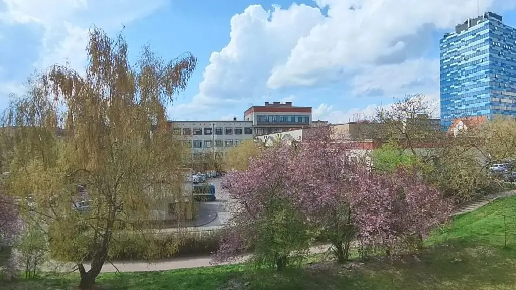 Przestronne mieszkanie w kamienicy, 67 mkw, 3 pokoje, Śródmieście