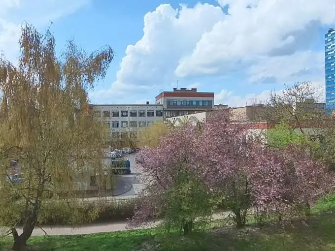 Przestronne mieszkanie w kamienicy, 67 mkw, 3 pokoje, Śródmieście