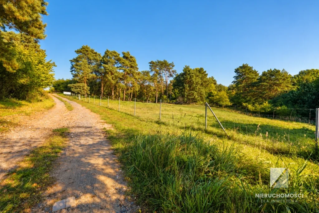 Wisełka – wyjątkowa przestrzeń między lasem, jeziorem a morzem